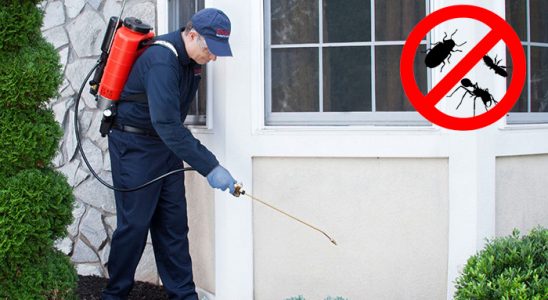 Alaca Fare İlaçlama böcek ilaçlama ve haşere kontrolü — ilaclama-tr.com